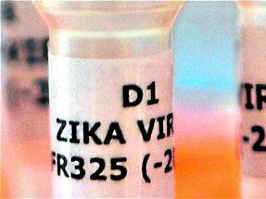 El zika es transmitido por el mosquito 'Aedes aegypti