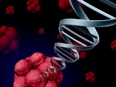 Cada vez que una célula se divide y replica su ADN para producir dos nuevas células, comete errores, que pueden dar origen a un cáncer.