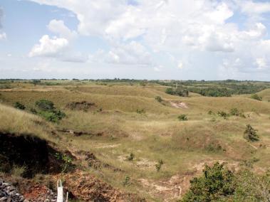 Según la Corte, se han perdido 1,2 millones de hectáreas.