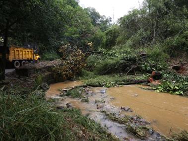 Sobre el río Aguacatal han caído varios árboles los cuales pueden causar una palizada por represamiento.