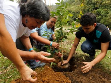 Como parte de las actividades, durante la semana se sembrarán más de 9.000 árboles en todo el valle de Aburrá.