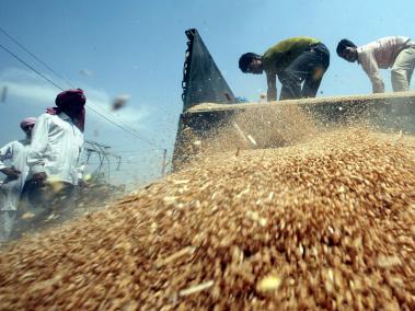 Las exportaciones estadounidenses de granos a Cuba representan el 0,25 % de los 56 millones enviados al exterior por ese país en 2016.