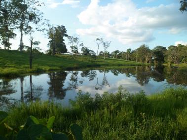 En la cuenca del río Catatumbo también hay una importante concentración de humedales de esta región del país. La Cascada, que está ubicado en el corregimiento Tres Bocas del municipio de Tibú, pertenece también a los 57 cuerpos superficiales de agua que posee Norte de Santander.