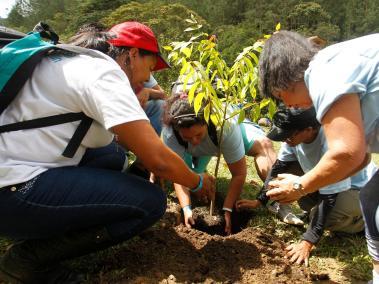 Medellín, Envigado, Itagüí, Sabaneta, La Estrella, Caldas, Bello, Copacabana, Girardota y Barbosa– se comprometieron a sembrar cada uno 100.000 árboles.