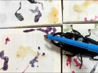 ¡Este escarabajo es un gran pintor!