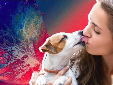 ¿Darle besos a tu perro puede ser riesgoso?