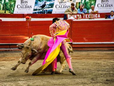 La armonía física y el comportamiento bravo es típico en los toros de Santa Bárbara, ganadora al mejor encierro en la pasada feria de Manizales.