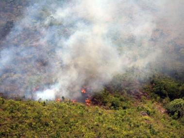 Más de 27.000 hectáreas de bosques nativos y pastos se han consumido en 118 incendios forestales en los últimos 40 días, en los departamentos de Meta y Guaviare. Esta cifra equivale a 27.000 canchas de fútbol.