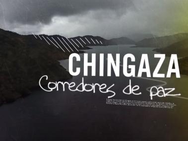 La importancia del páramo de Chingaza: corredor de paz