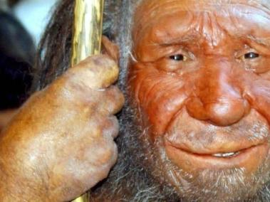 Los investigadores analizan cuatro dientes procedentes del lado izquierdo de la mandíbula de un hombre Neandertal hallados en el yacimiento de Krapina, en Croacia.