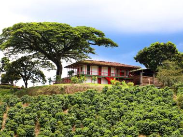 El paisaje cultural cafetero también es considerado Patrimonio. Incluye las regiones cafeteras de Antioquia, Caldas, Risaralda, Quindío y Valle del Cauca.
