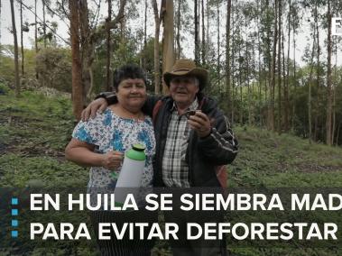 Desde el 2002, ha impulsado a los caficultores del Huila, y de otros departamentos como Santander, Tolima y Cauca, a realizar plantaciones forestales.