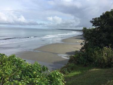 La temporada de avistamiento se realizó este jueves 9 y viernes 10 de agosto en Juanchaco y Ladrilleros, sin embargo su avistamiento se prolongará en las playas hasta el mes de octubre