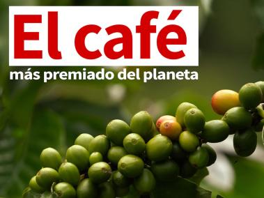 Descubre cómo se cultiva el café más premiado del planeta en las montañas del Quindío.