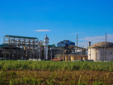 El grupo Ecopetrol tiene una capacidad instalada de 43 megavatios de energías renovables en el Meta con la generación de energía a través de biomasa en la planta de Bioenergy, en Puerto López.