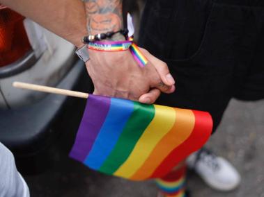 Rodrigo Sandoval, experto en temas LGBTI+, señala que las peticiones puntuales durante las movilizaciones de este domingo fueron persuadir al país para que se evite la violencia en la casa, el trabajo y el espacio público contra esa población.
