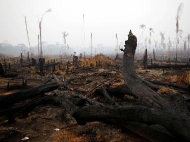 Los incendios que afectan desde hace más de 15 días la Amazonia de Brasil.