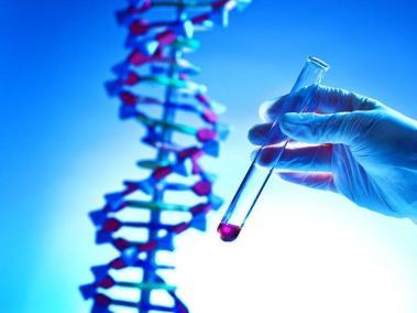 La terapia genética, lo más avanzado en la ciencia de la salud, requiere introducir material genético en las células para compensar los genes anormales.
