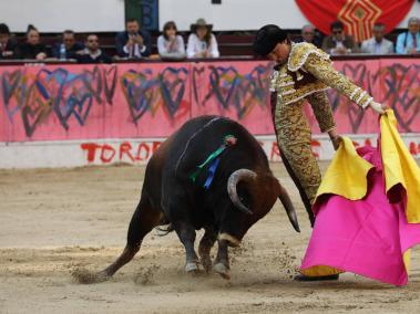 El torero peruano Roca Rey lidia su primer toro llamado "Zorro".