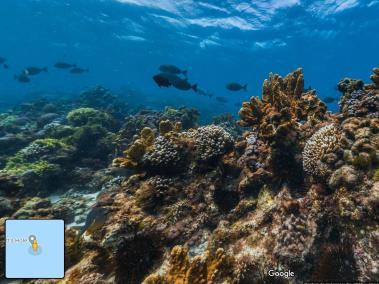 Sumérjase en la gran barrera de coral de Australia.