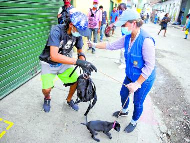 Voluntarios apoyan la entrega de alimentos en la fundación Samaritanos de la Calle.