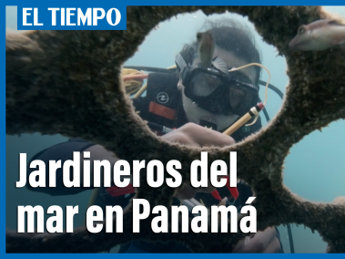 Los jardineros del mar en Panamá