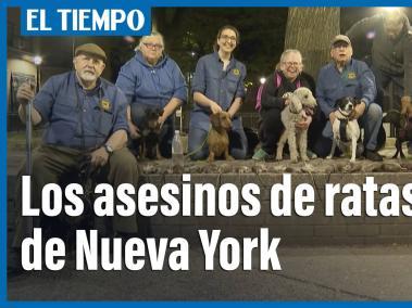 Los asesinos de ratas de Nueva York perros y sus dueños a la caza de roedores