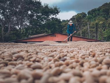 En las últimas décadas, el café colombiano ha venido cambiando mucho pues se demoró en buscarle valor agregado y simplemente se le había dejado a las multinacionales.