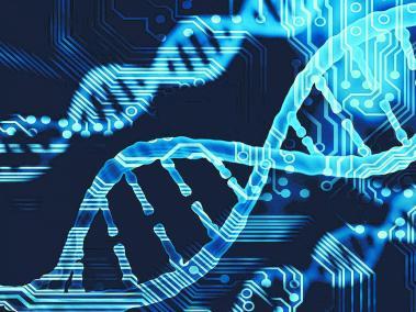 El ADN evolucionó para acumular cantidades masivas de información a muy alta densidad; además es extremadamente estable y se puede conservar por millones de años.