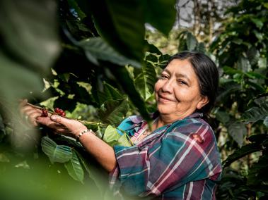 Desde el 2017, en Caquetá (foto), y el 2019, en Nariño, Nespresso trabaja con 980 familias para mejorar la cosecha.