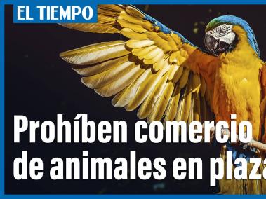 Prohíben comercio de animales de todas las especies en plazas de mercado de Bogotá