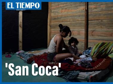 'San Coca', así llaman los campesinos a la economía de la coca que se reactiva.
