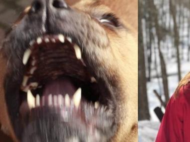 Mujer muere por ataque de perros en Italia