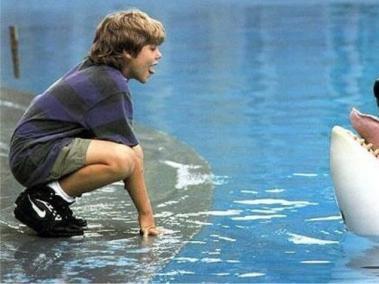La orca que protagonizó la película liberen a Willy no pudo adaptarse a la vida salvaje.