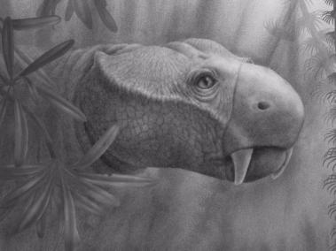 Reconstrucción de la vida de Dicynodon. Aparte de los colmillos en la mandíbula superior, la mayoría de los dicinodontos poseían un pico parecido a una tortuga que usaban para masticar su comida.