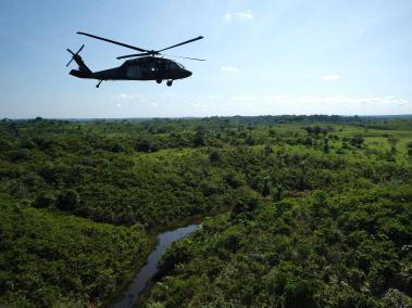 Helicópteros del Ejército lanzaron hoy 25.000 semillas asistidas en el Caquetá.