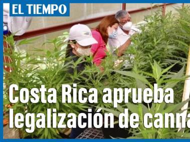 Diputados de Costa Rica aprobaron el jueves la legalización del cultivo, producción, industrialización y comercialización del cáñamo y del cannabis medicinal, tras tres años de discusión del proyecto en el Congreso, informó la entidad.