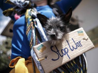 SAN JOSÉ (COSTA RICA), 02/03/2022.- Fotografía de un perro con un letrero colgado que dice 'Stop War' durante una manifestación de ciudadanos ucranianos, residentes en Costa Rica, hoy frente a la embajada de Rusia ubicada en San José. EFE/Jeffrey Arguedas