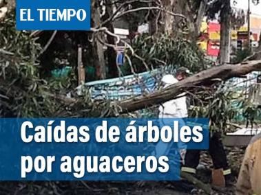 Las localidades más afectadas fueron Rafael Uribe Uribe y Engativá. En los primeros seis días de marzo, van 22 emergencias por árboles.