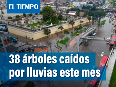Bomberos en Bogotá han atendido 38 incidentes por caída de árboles.