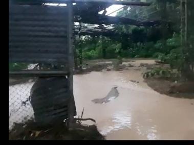 Hay inundaciones en Amagá, Antioquia