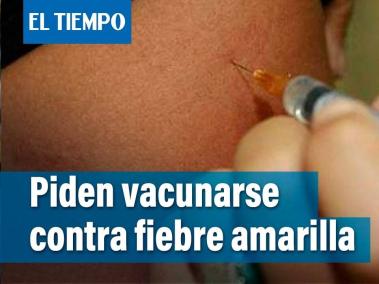Semana Santa: piden vacunarse contra la fiebre amarilla antes de viajar