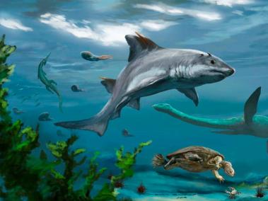 Representación de Stropodus rebecae y de otros animales del ecosistema en el que habría habitado este tiburón.