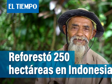 El hombre que reforestó 250 hectáreas