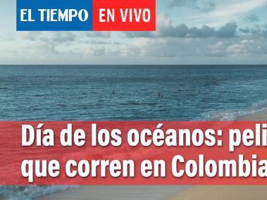 Día de los océanos: peligros que corren en Colombia