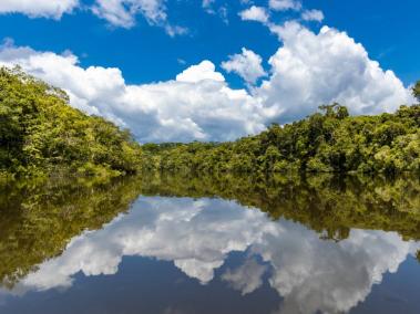 En Colombia la capacidad de los ecosistemas para absorber CO2 ofrece buenas posibilidad para bonos de carbono.