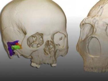 Modelo 3D del cerebro humano moderno (izquierda) y el neandertal Amud 1 (derecha).