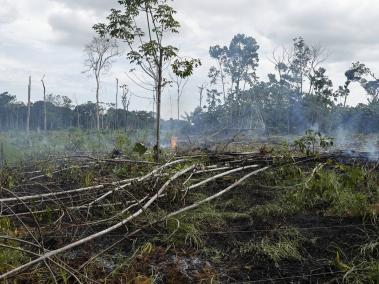 Fotografía de selva amazónica incinerada, el 20 de agosto de 2022, en San José del Guaviare.