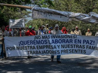 Trabajadores de la industria de la caña de azúcar protestaron hace unos días contra las invasiones de tierras por parte de indígenas y campesinos en Corinto, departamento del Cauca.