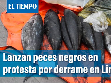 Lanzan peces negros a oficinas de Repsol en protesta por derrame en Lima